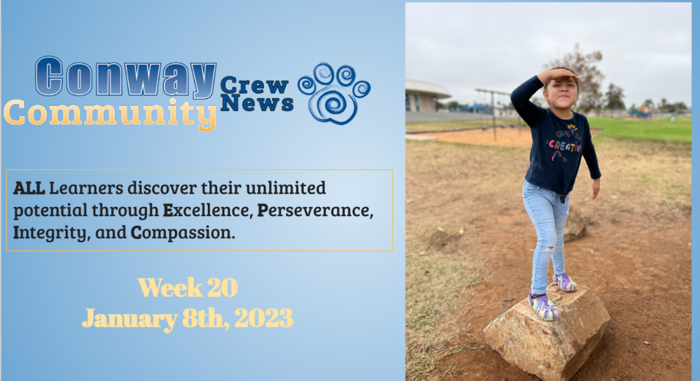 Conway Community News - Week 20
