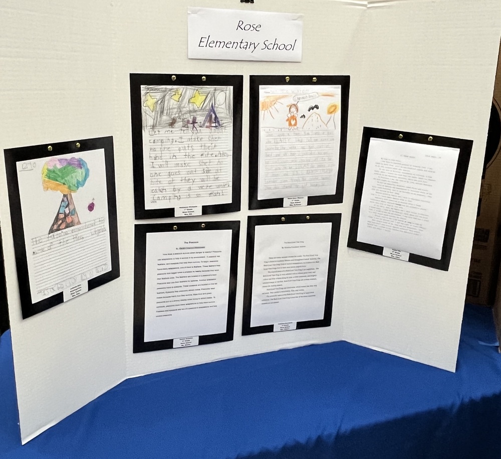 Writing Samples Displayed at the Annual Writing Celebration