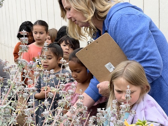 teacher leaning in with kindergartners in pollinator garden