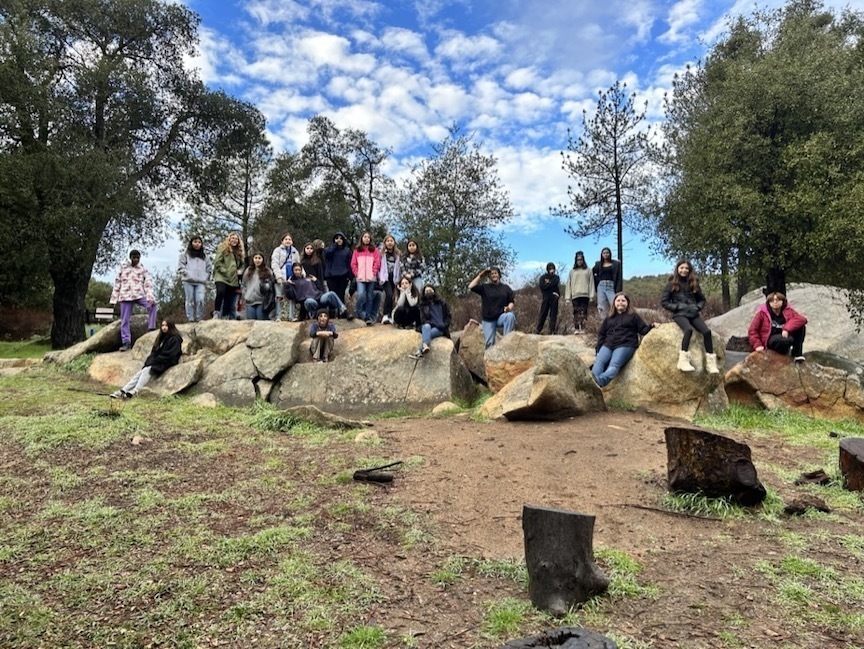 kids on boulders in scenic forest under blue sky