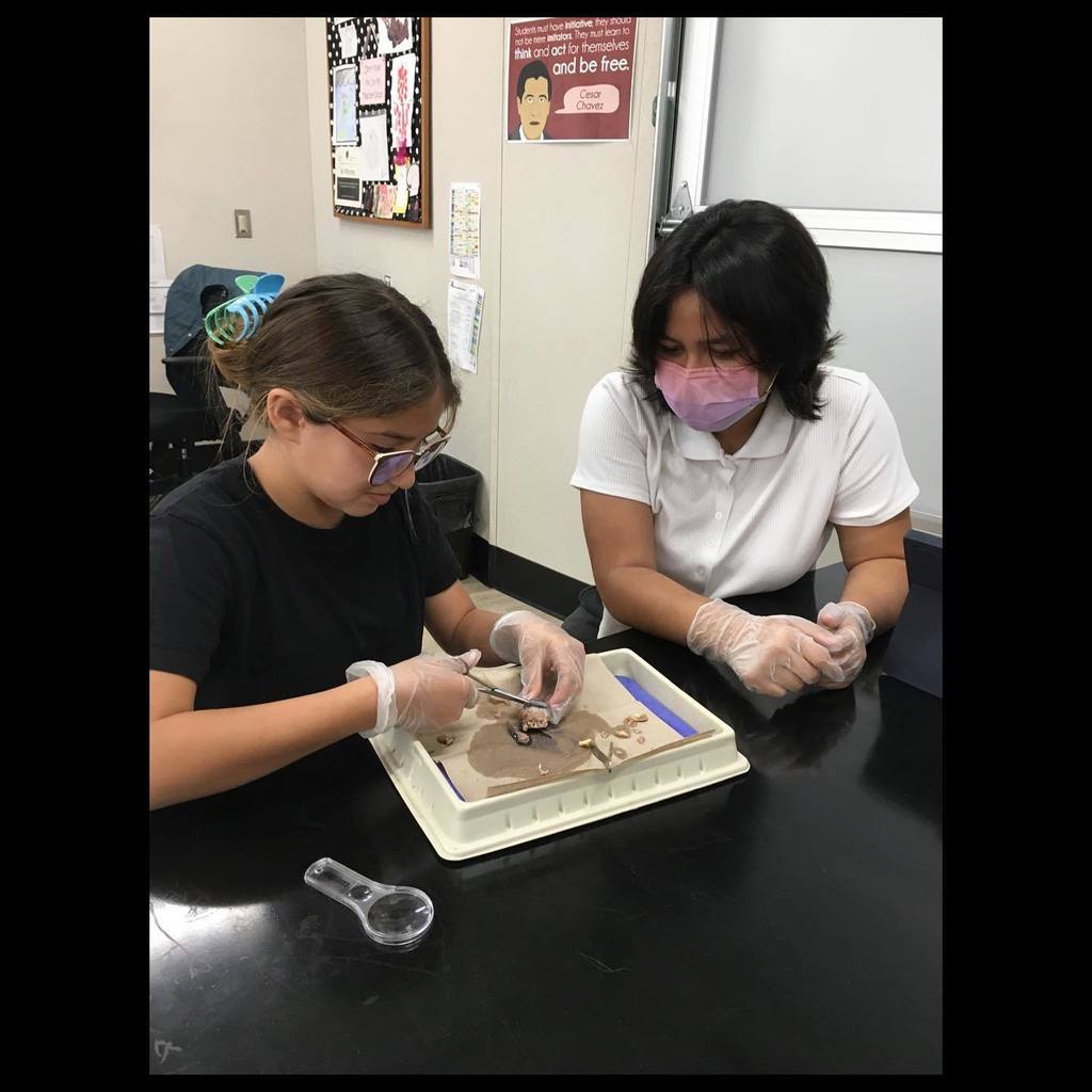 Two middle school students at lab table with dissection tools