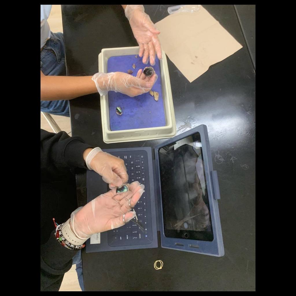 overhead view students' hands with iPad and sheep's eyeball dissection