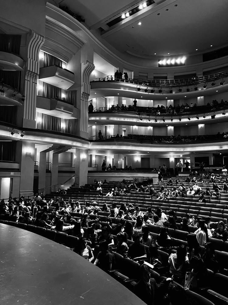 overview of Concert hall audience 