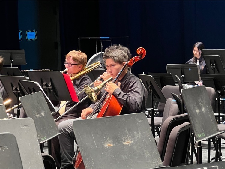 close up View of cello player