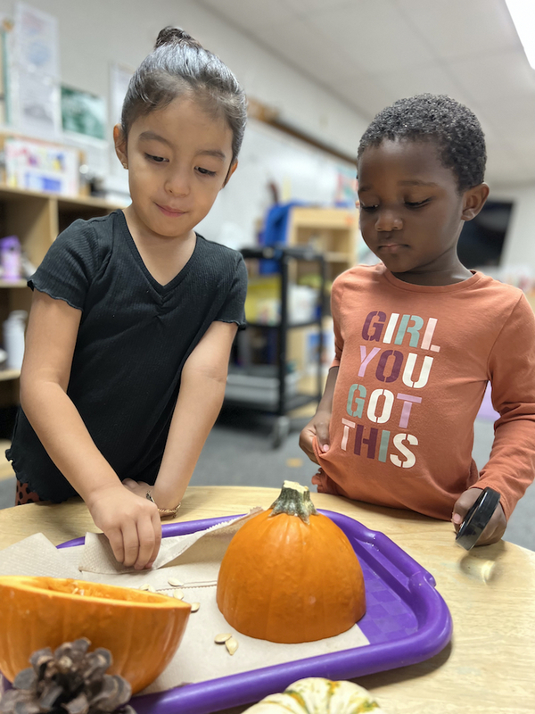 preschool girls looking at pumpkin