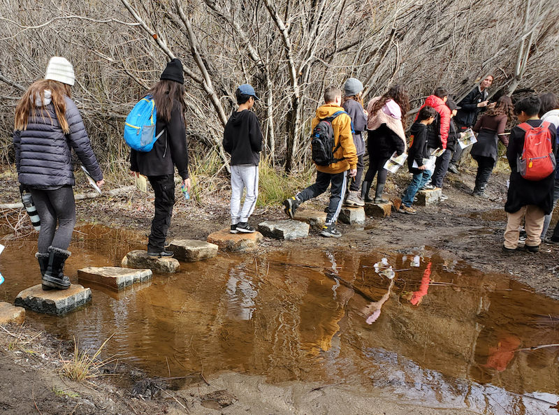 estudiantes pisando rocas sobre el agua en el bosque